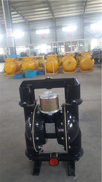 進口隔膜泵廠家